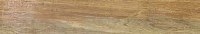 AMAZZON 16100S LP